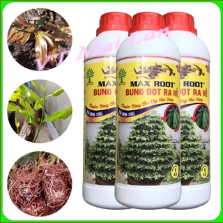 Max root siêu bung đọt ra rễ mai vàng 1 lit MR1L