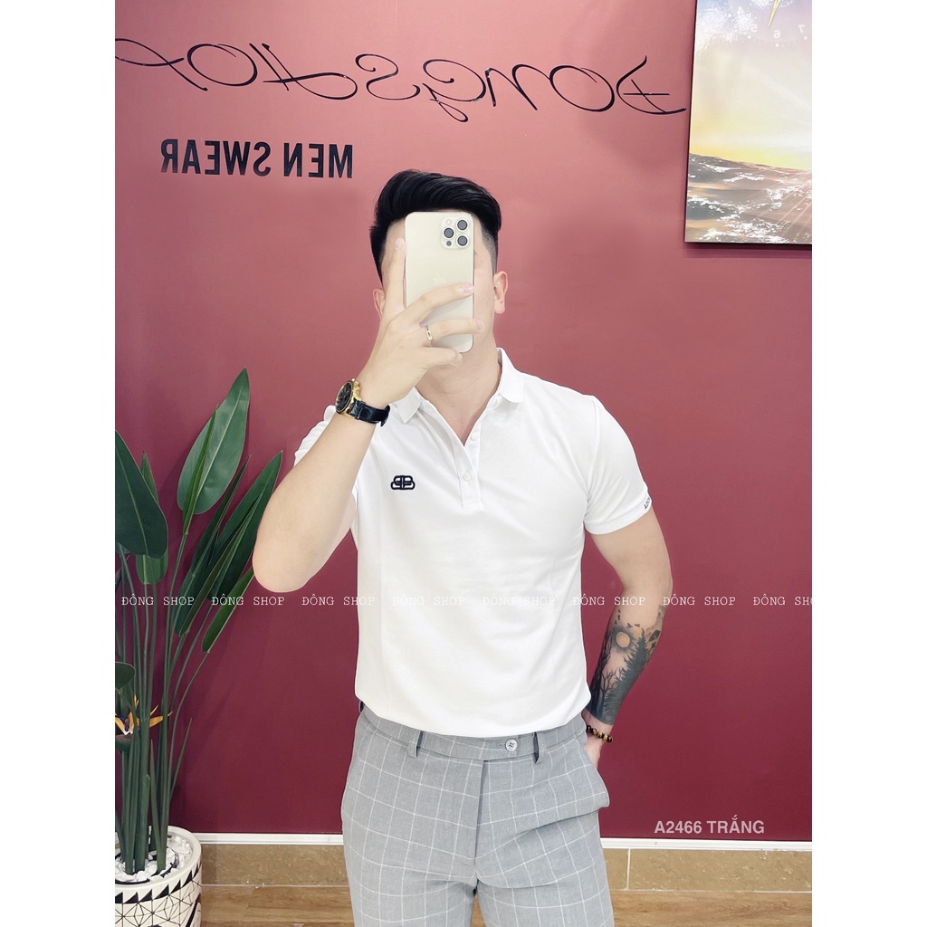 Polo , áo phông cổ bẻ cao cấp, áo phông nam PL 2466