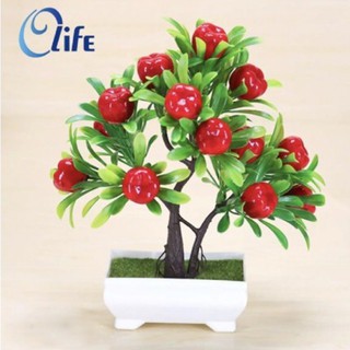 chậu cây táo trang trí tết / cây nhựa bonsai