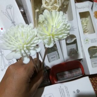 Combo 4 lọ Tinh dầu thơm để phòng