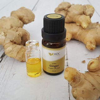 Tinh Dầu Gừng 10ml GC-MS | Mộc Essential Oils