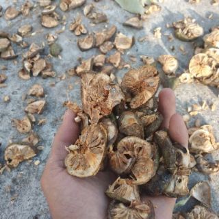 1kg lá+1kg quả bình bát khô