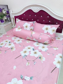 Bộ ga gối cottong lạnh