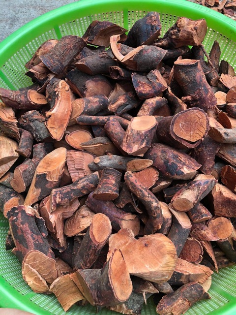 Rễ Mú Từn- 1kg Chuẩn Rễ! ảnh chính chủ! | BigBuy360 - bigbuy360.vn