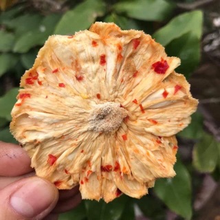 THƠM SẤY MUỐI ỚT 250gr