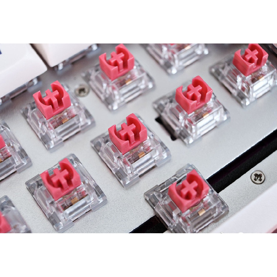 Bàn phím Darmoshark K5 Gulf Racing TTC Wireless 68key, Wireless 2.4GHz