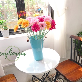 HOA LỤA Hoa đồng tiền giống thật 99%