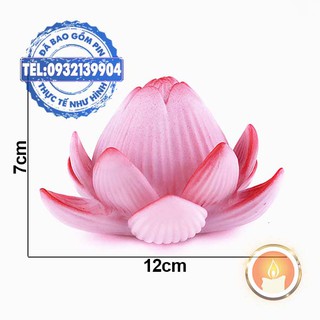 Đèn hoa sen đổi màu [KÈM SẴN PIN]