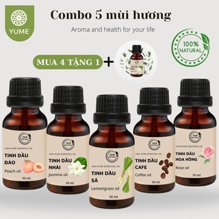 COMBO 5 CHAI TINH DẦU TẶNG 1 LỌ HƯƠNG NHÀI