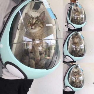 Balo trứng cho thú cưng ❤️❤️❤️