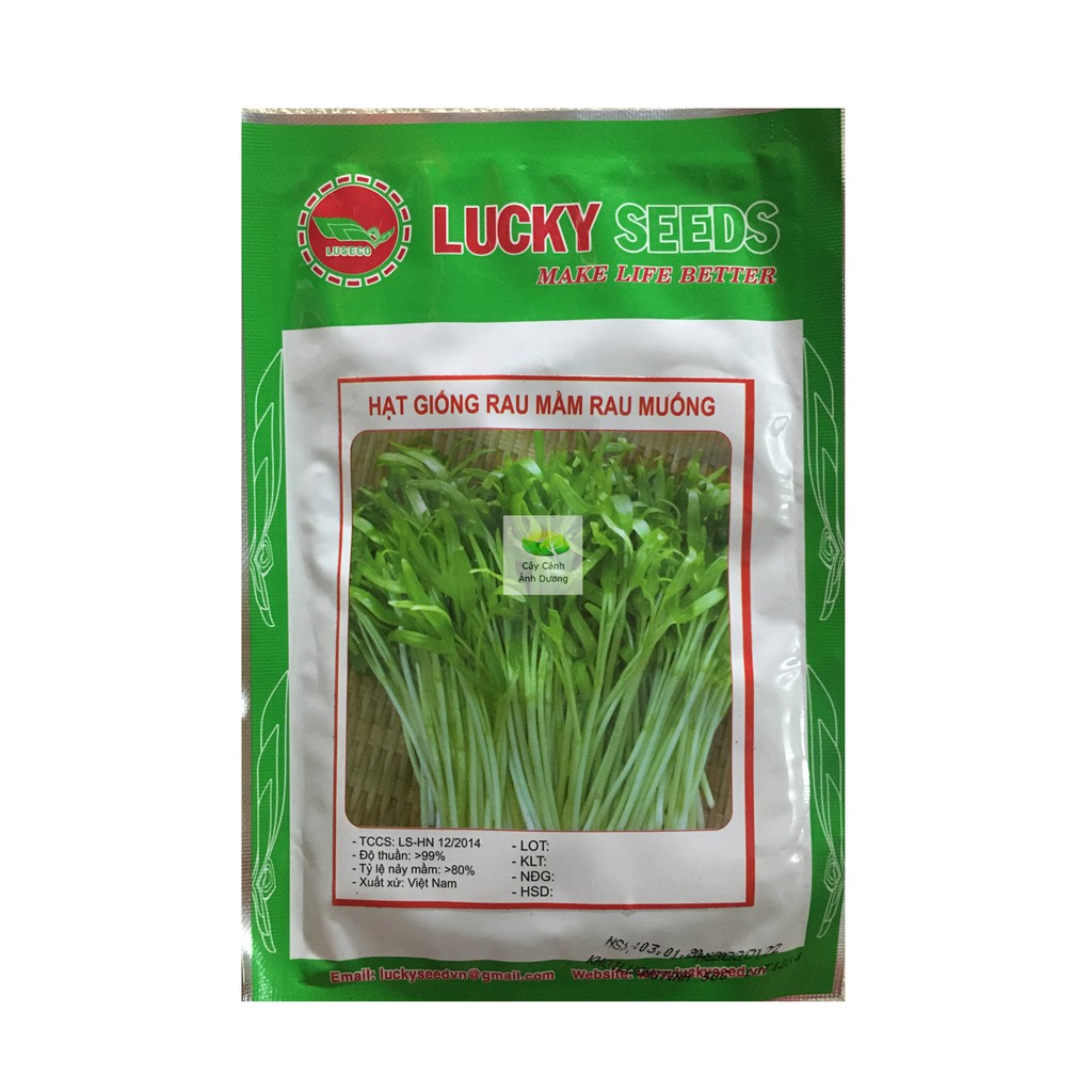 Hạt giống rau mầm rau muống