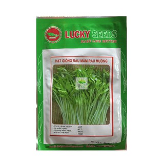Hạt giống rau mầm rau muống