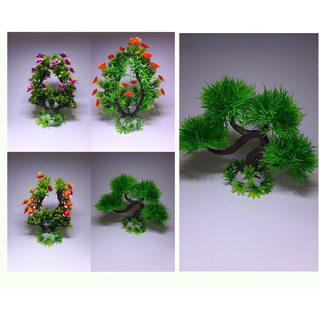 Cây nhựa trang trí bonsai