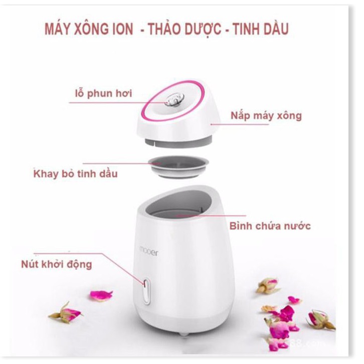 Máy xông  ⛔GIÁ SỈ⛔   Máy xông hơi mặt hoa quả tươi tự động 2 trong 1 làm sạch mặt và khử độc tố, trị mụn 4074