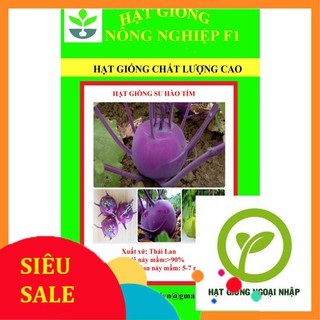 Gói 100 hạt hạt giống xu hào tím hat f1