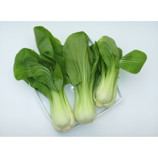 Gói 100g hạt giống cải thìa (cải chíp) cao sản - Nanuseeds