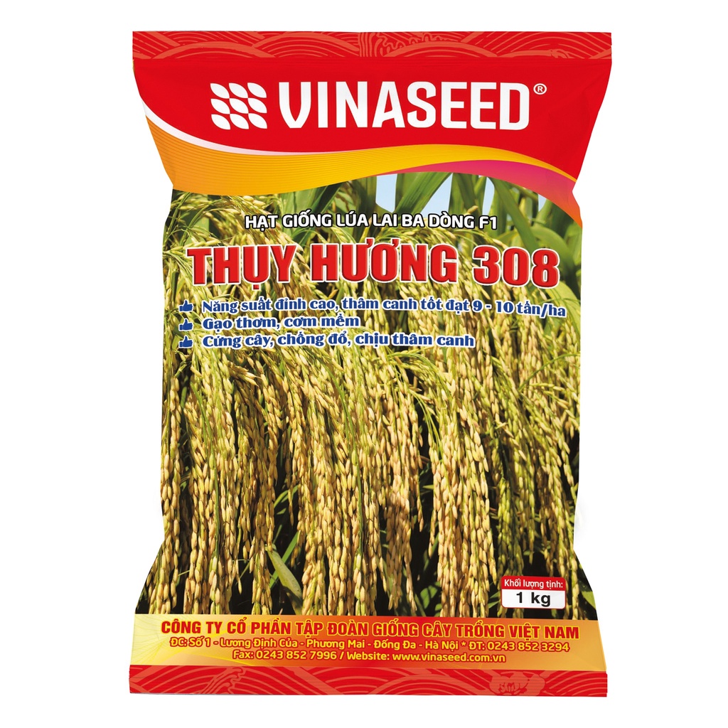 Giống lúa lai Ba dòng Thụy Hương 308 Năng suất, Chất lương cao (Vinaseed)