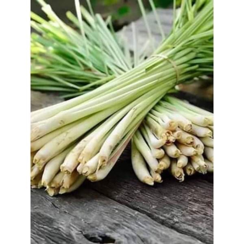1 kg đầu gà, đầu vịt , xương gà tươi sống