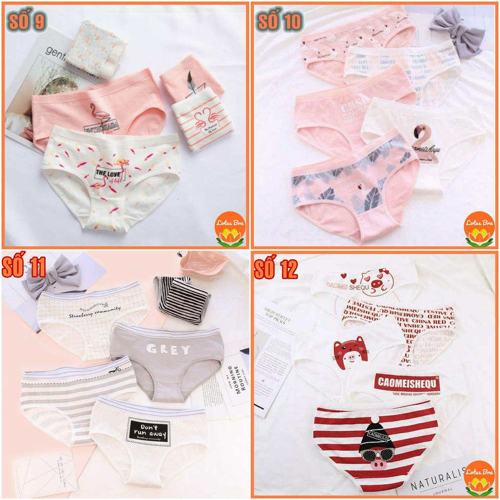 Set 5 Quần Lót Cotton Hoạ Tiết Gấu nhiều mẫu | BigBuy360 - bigbuy360.vn