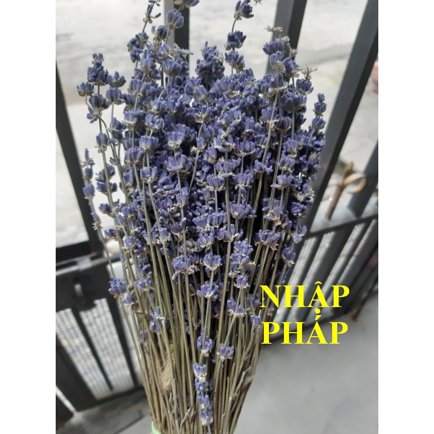 Bó hoa khô hoa lavender 130g (nhập Anh, nhập Pháp) KÈM VIDEO HÌNH THẬT, tặng kèm túi thơm