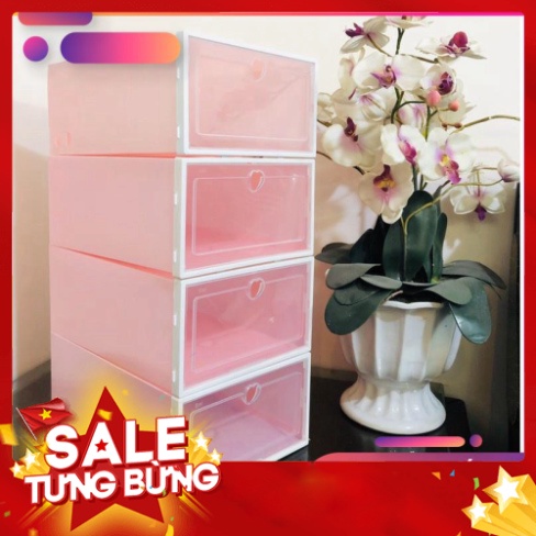 Hộp Đựng Giày Nắp Nhựa Trong Suốt Size 33x23x13,5cm Màu Sắc Đa Dạng