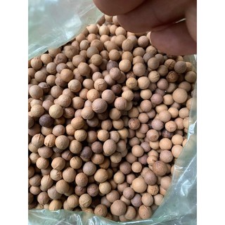 Hạt đàn hương trắng