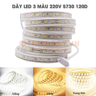 Dây led 3 mầu- đổi 3 màu