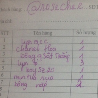 Combo 6sp túi xách nữ kèm bông