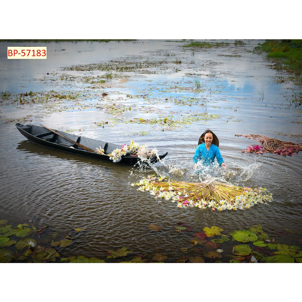 Tranh dán tường miền sông nước, cầu đẹp, hoàng hôn Việt Nam 3D in theo kích thước yêu cầu – Không giới hạn kích thước.