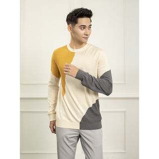 Áo Len Nam Aristino AWO004W9 Trẻ Trung Và Phóng Khoáng