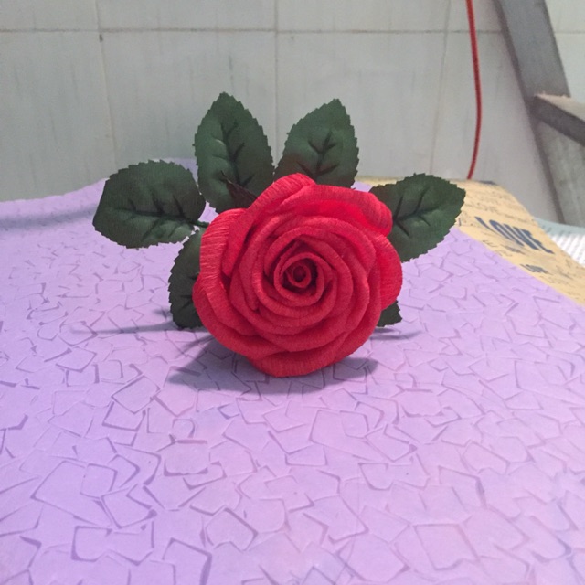 Hoa hồng ghép cánh