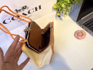🆘RẺ VÔ ĐỊCH🆘Túi Coach khủng long mini