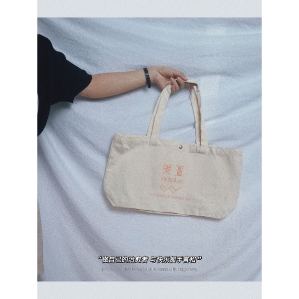 Túi tote hàn quốc basic