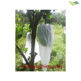100 TÚI BỌC TRÁI CÂY KT 40x50cm