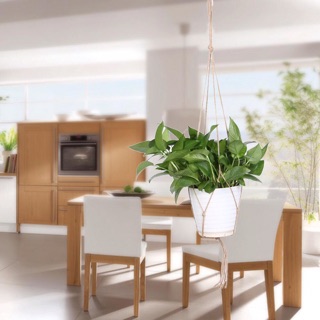 Dây treo chậu hoa 80cm/105cm