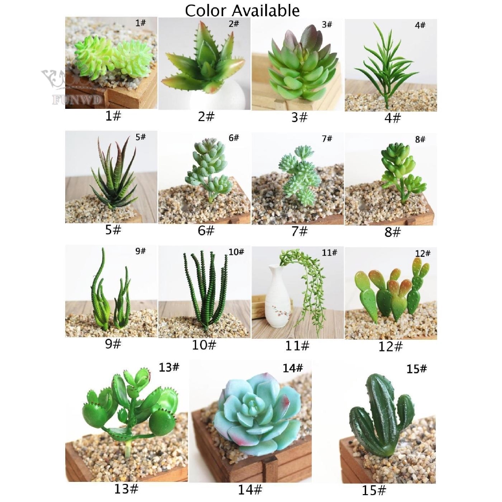 1 Chậu Cây Xương Rồng Nhân Tạo Bằng Nhựa 5-11cm/1.97'' - 4.33'' Trang Trí Nhà Cửa