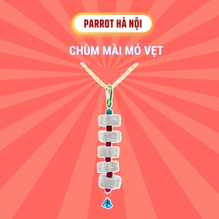 Chùm mài mỏ vẹt, phụ kiện thú cưng