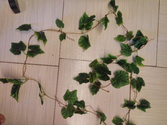 Dây leo lá nho xịn  bó 5 dây dài 2m7-Lá giả