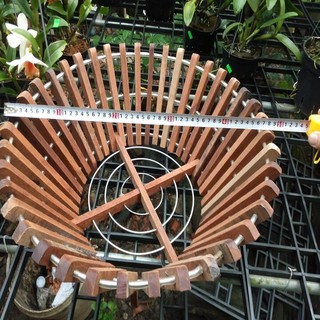 chậu gỗ  trồng lan  49cm