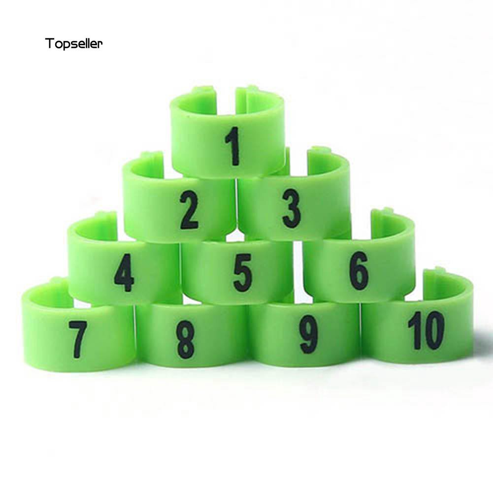 Set 100 vòng đeo chân chim bồ câu bằng nhựa