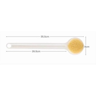 Cây Bông Tắm Muji