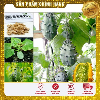 Hạt Giống Dưa Chuột Gai (5 Hạt)