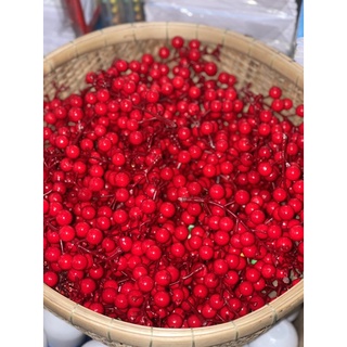 Chùm trái cherry đỏ