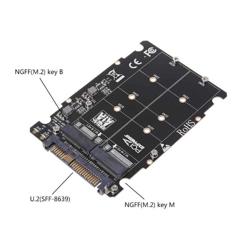 Adapter Chuyển Đổi 2 Trong 1 M 2 NVMe Cho Key-B - M - NGFF SSD Sang PCI-E M 2 SSD Sang U 2
