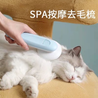 Lược chải lông chó mèo size lớn.