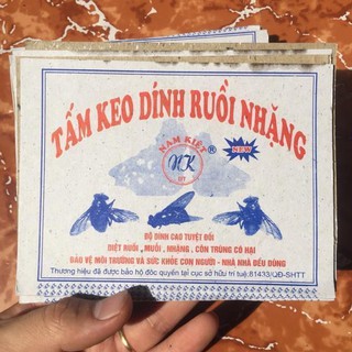Tấm keo dính ruồi