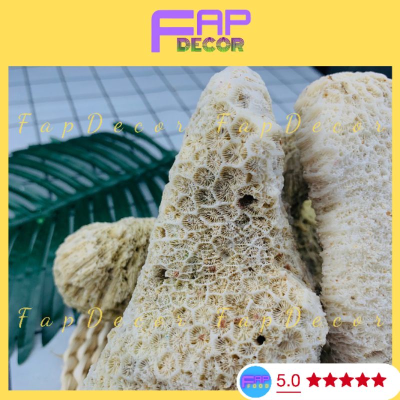 Đá Làm Hòn Non Bộ, Đá Ông Thủy Sinh, Đá Vôi Cứng Họa Tiết Lỗ Làm Hòn Non Bộ, Thủy Sinh Decor Nhà Cửa - FapFood