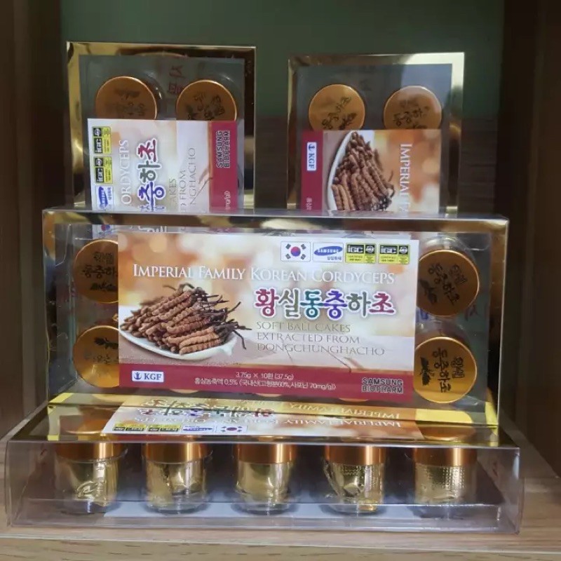 Đông Trùng Hạ thảo Hộp Nhựa 10 Viên