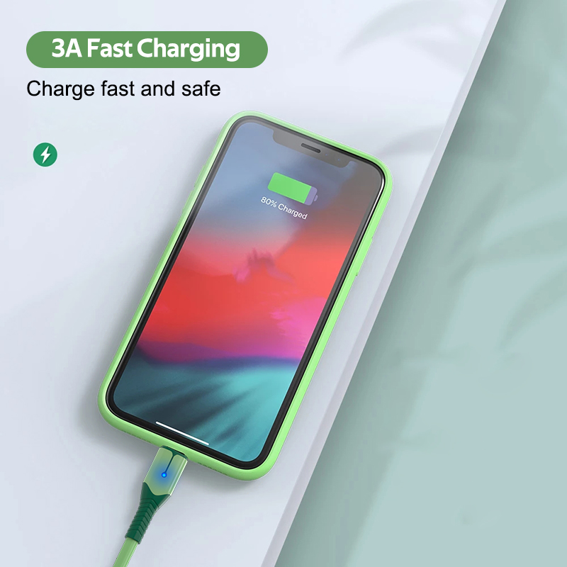 Cáp Sạc TBTIC Micro Usb Type C 5a Cho