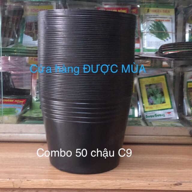 Combo 50 chậu C9